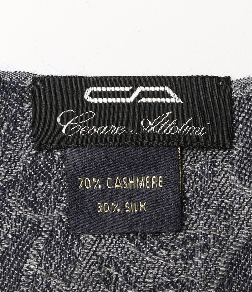 チェーザレアットリーニ ストール カシミヤ シルク ネイビー レディース Cesare Attolini